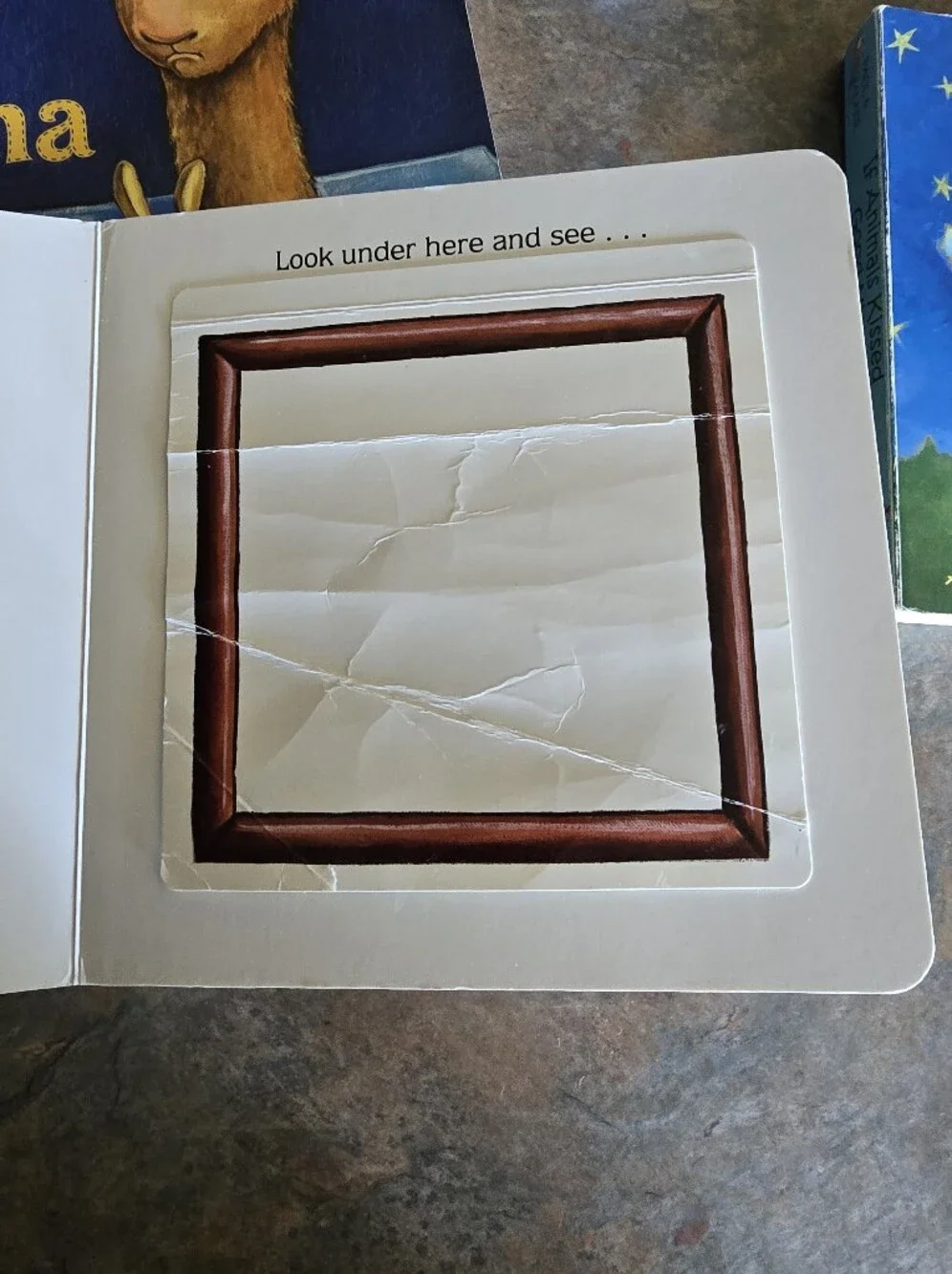 (5) Children's Book Set
